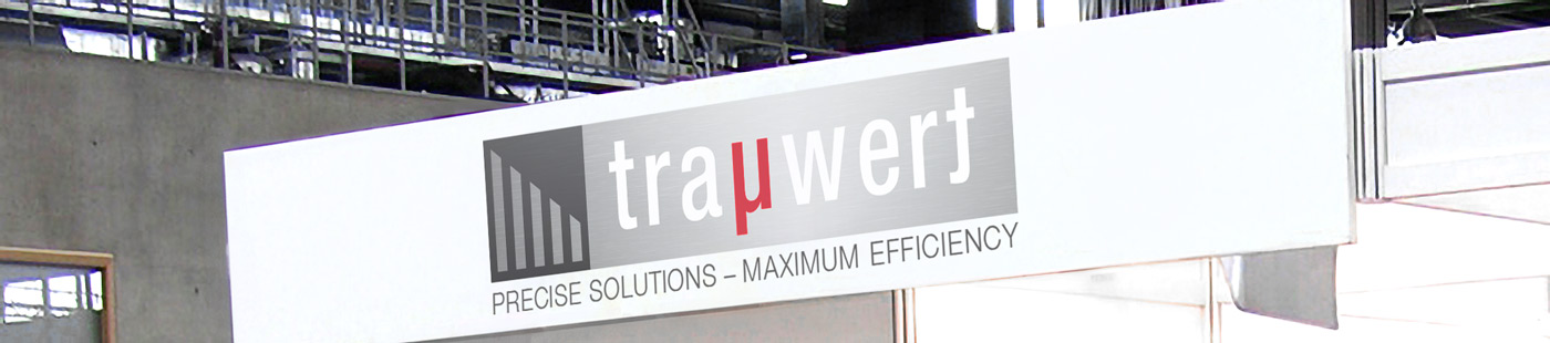 Trauwert GmbH Interbrush 